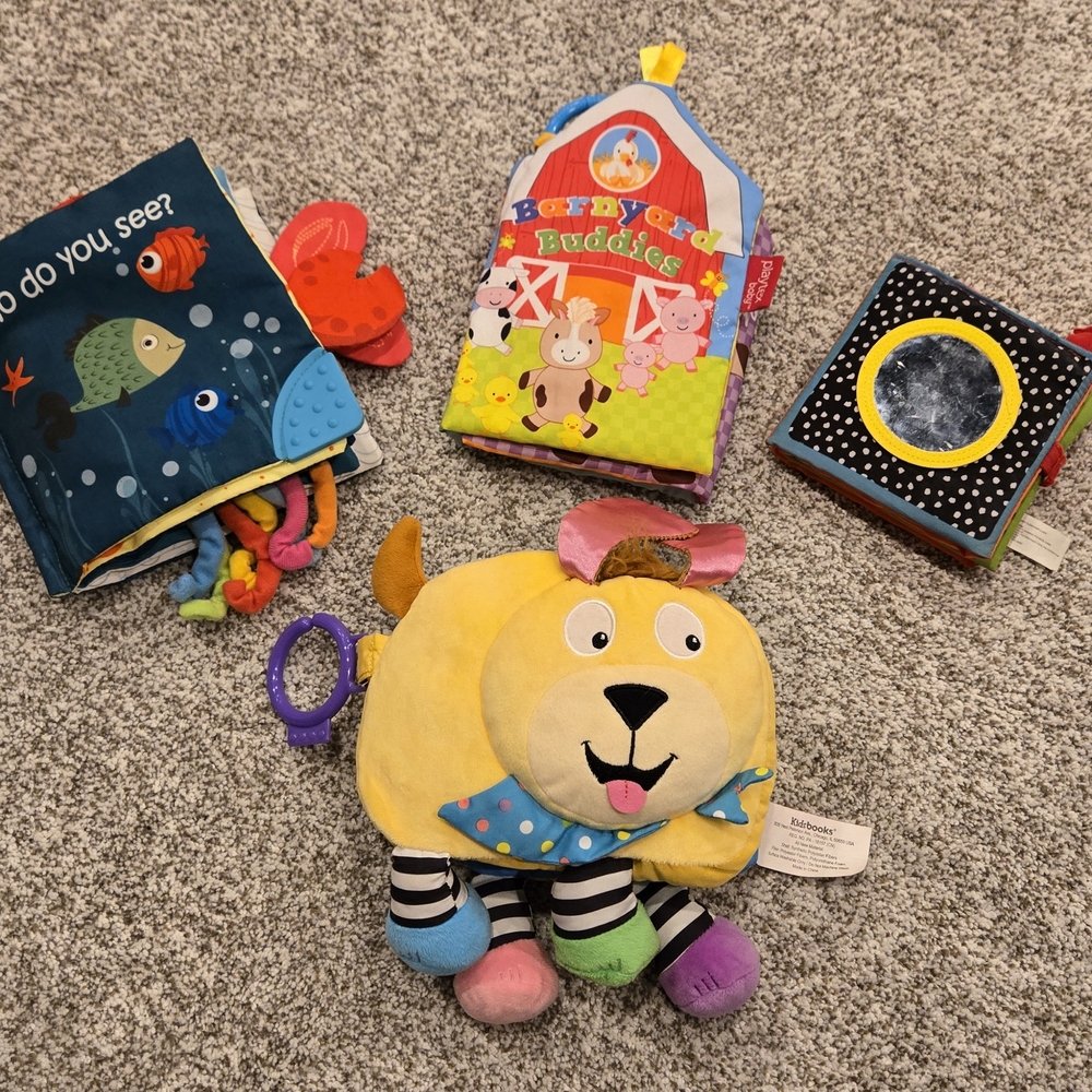 Colorful Crinkle Book Lot